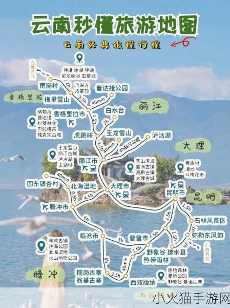 探索大召唤师的无限可能，全面攻略指南