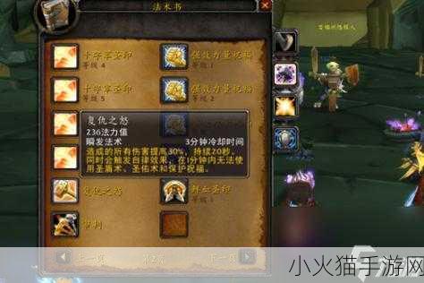 魔兽世界 TBC 防骑拉怪输出循环手法全解析