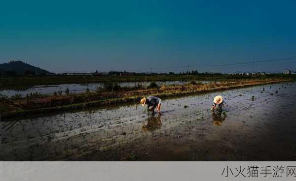 夫妻之间的108种插秧法图片 1. 夫妻插秧的108种创意方式大揭秘