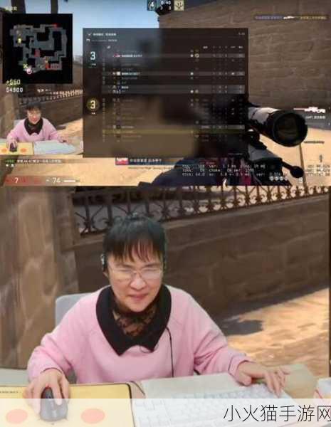 55岁大妈玩CSGO 55岁大妈逆袭，CSGO竞技场上风采依旧！