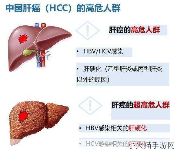 片多多3999HCC 1. 片多多3999HCC：探索视听盛宴的全新境界