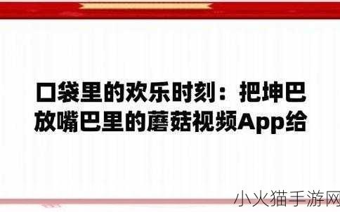 把坤放进欧派 1. 坤与欧派的奇妙碰撞之旅