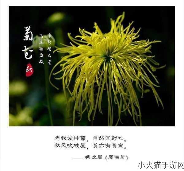 答错一题菊花放一支笔 1. 答错一题，菊花与笔的幽默故事