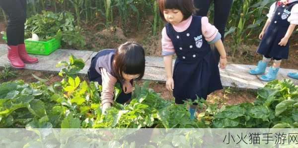 女孩子怎么体验拔萝卜的感觉 1. 女孩如何在拔萝卜中感受自然的乐趣