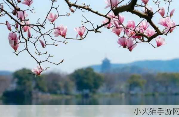 亭亭玉立，国色天香四月天美景何处寻 1. 四月天美景，亭亭玉立的花海奇观