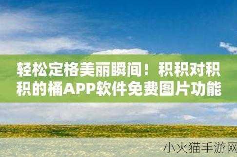 积积桶肤肤的免费软件大全 1. 全面解析积积桶肤肤的免费软件使用指南