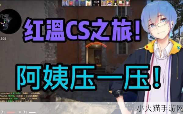 这位暴躁老阿姨CSGO最新版本中到底是何方神圣 暴躁老阿姨：CSGO新版本的神秘力量与策略揭秘