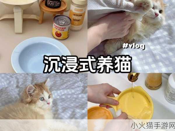 糖心短视频VLOG柠檬猫 1. 探索柠檬猫的日常生活与趣味瞬间