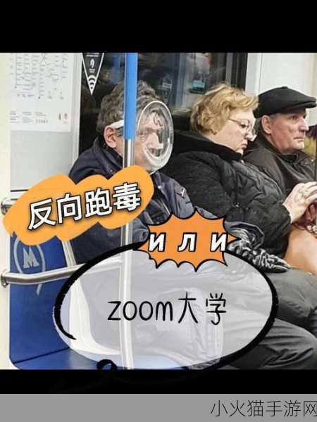 ZOOM人与ZOOMZOOMHD区别 ZOOM人与ZOOMZOOMHD的功能与性能全面对比分析