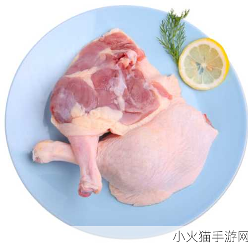 超级肉禽系统保安 1. 超级肉禽系统安全保障升级方案探讨