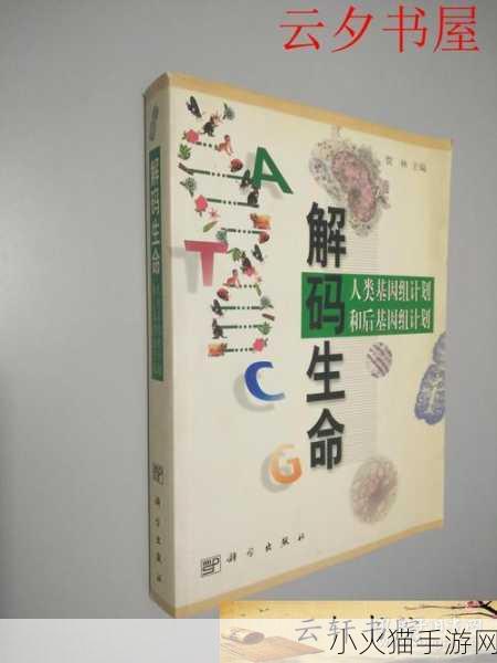 999猪和人类dna 1. 从999猪到人类：解码生命奥秘的新视角