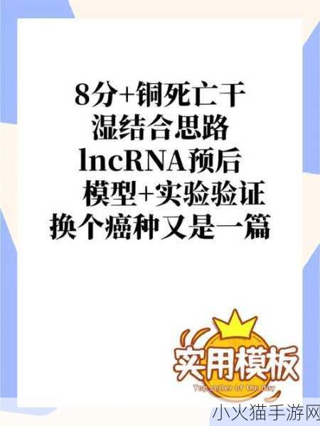 可不可以干湿你最火的一句 1. 干湿结合，生活的无限可能性