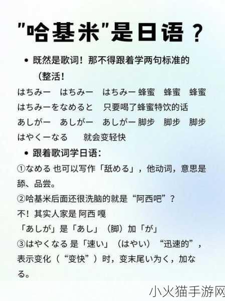 探索哈基米，从猫的联想至日语含义的深度解读