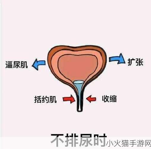 WRITEAS憋着尿按压肚子全面更新 1. 如何缓解憋尿时的身体不适与压力