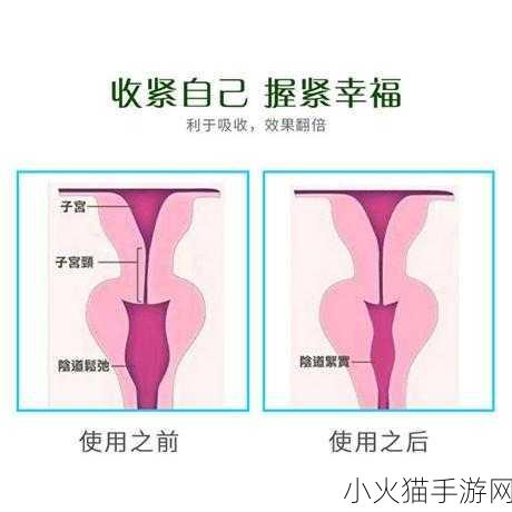 蜜桃皇后私密紧致 1. 蜜桃皇后：私密紧致，焕活你的魅力