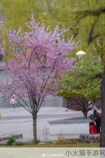 伊人春色 1. 春光乍泄：伊人心中绽放的花海