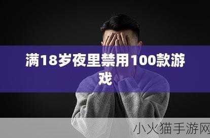 凌晨12点满18岁可以上网吗 1. 凌晨12点刚满18岁，能否合法上网？