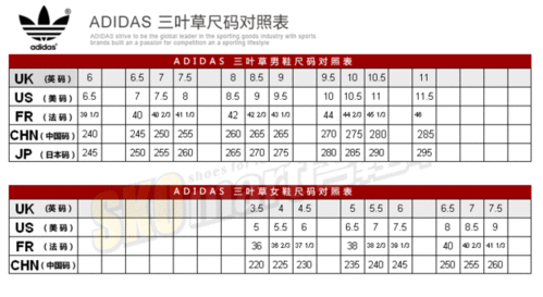 亚洲码与欧洲码的区别三叶草 亚洲码与欧洲码的区别解析：三叶草新视角