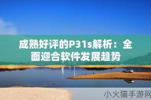 成色好p31s评测 1. 深度解析P31s：成色优异的全面评测与体验