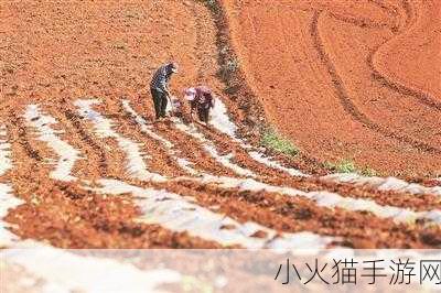 开垦妈妈肥沃的土地 1. 开垦母亲的沃土，播撒希望的新种子