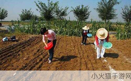 儿子耕种母亲的田地叫什么名字 1. 《母亲田地的传承与耕种之道