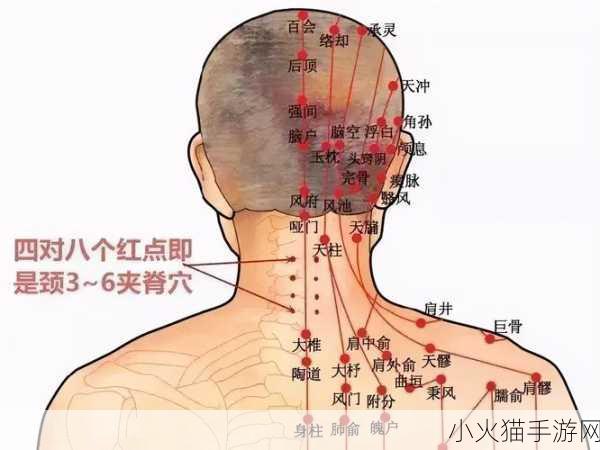 颈腰挺过那层薄膜好疼痛缓解方法 1. 颈腰部疼痛缓解的有效方法与技巧