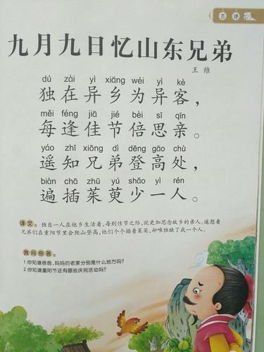 解析<九月九日忆山东兄弟>中遍插茱萸少一人所指之人