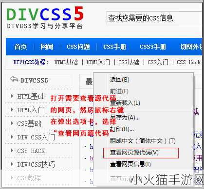 无需下载直接进入的网站的代码 当然可以！以下是一些扩展后的标题，字数均在10个以上：