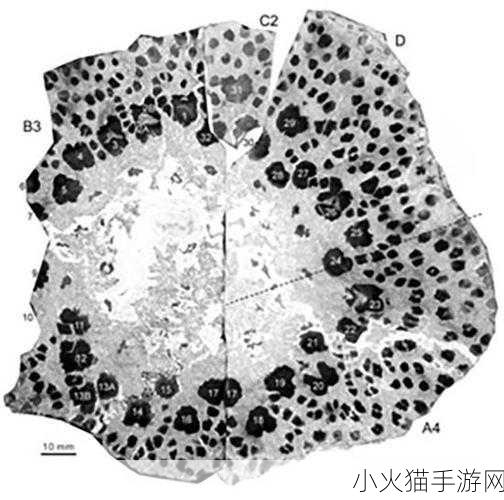 三人行必有双插头但枝故事 1. 三人同行，插头背后的秘密