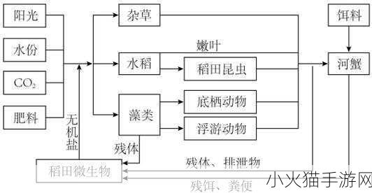 人与畜禽的合作关系 1. 人畜共生：和谐发展的未来关系