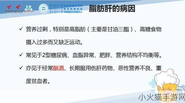 办公室强肝的播出时间揭晓 办公室强肝：揭秘职场生活的真实时间表