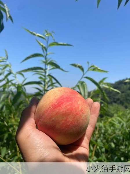 草莓水蜜桃香蕉甜橙芒果 1. 春夏水果盛宴：草莓与水蜜桃的甜美交响