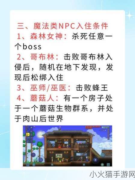 肉山后NPC入住条件 1. 肉山后NPC入住条件详解与攻略