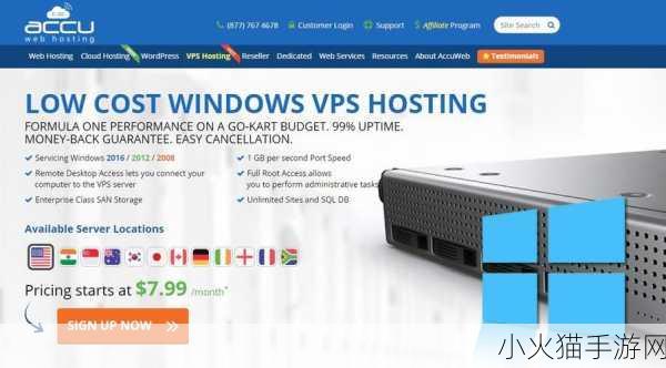 VPSWINDOWS另类精品 1. 独特VPS WINDOWS体验：提升您的网络性能