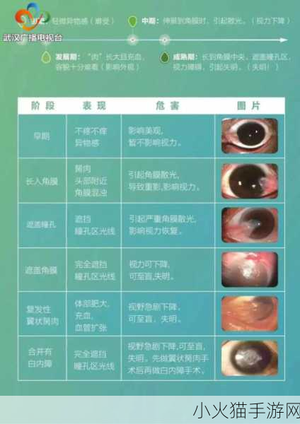 获得超级胬肉系统小说 1. 《超级胬肉系统：逆袭人生的奇幻旅程