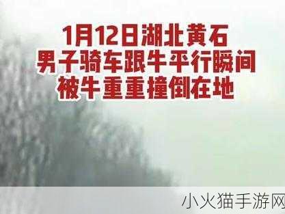 满18点此安全转入2023大象 1. ＂2023大象拓展：满18岁安全转入新篇章