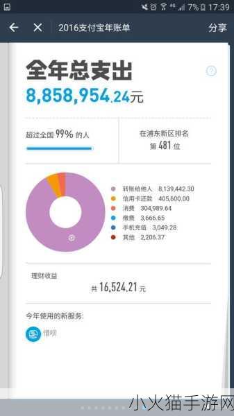 支付宝 2017 年账单查看全攻略，轻松找到你的年度消费记录