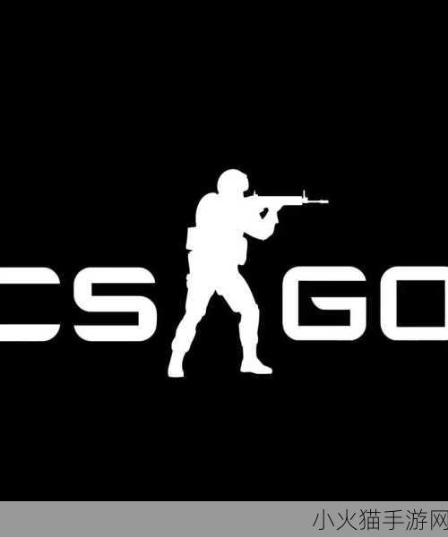 csgo大行动多久一次 CS：GO大行动频率揭秘：新内容更新时间分析