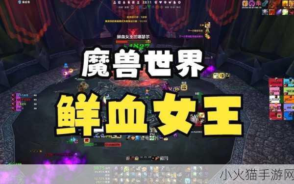 魔兽世界 ICC 9 号 BOSS 鲜血女王攻略，战胜恐惧，夺取胜利