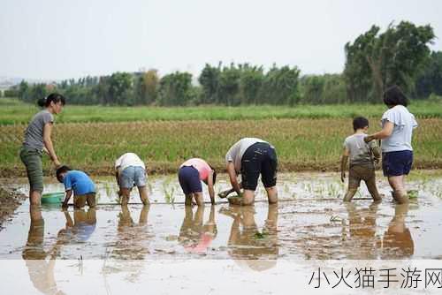 外国情侣插秧方法 1. 外国情侣浪漫插秧：田间的爱与默契