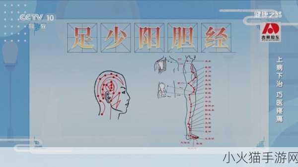 三个医生换着治我一个 三位医生轮流诊疗，探寻健康之路的奇妙旅程