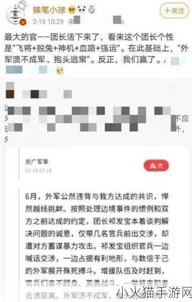 深度剖析蜡笔小球被批捕的前因后果及警示意义