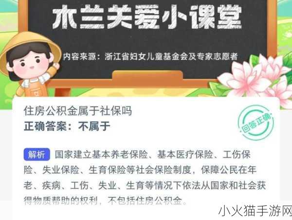 探索小鸡答题 8 月 29 日答案的神秘之旅