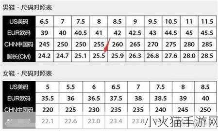 三叶草M码和欧洲码区别无法访问 三叶草M码与欧洲码的差异详解及购买建议