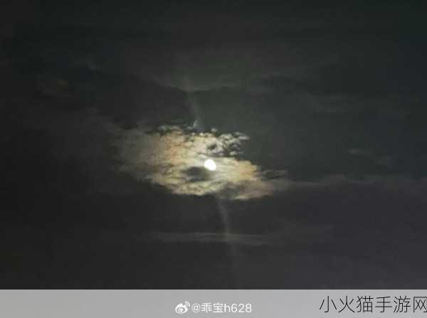 夜深了看点刺激的哔哩哔哩 1. 夜深人静，来点刺激的哔哩哔哩视频推荐