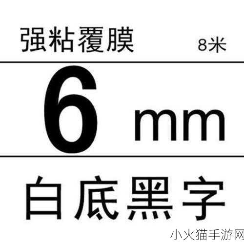 色带9mm12mm 1. 9mm与12mm色带的完美搭配