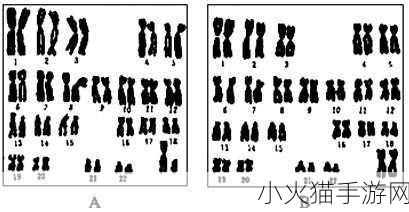 亚洲人与欧洲人染色体的区别 亚洲人与欧洲人染色体差异揭示的进化奥秘