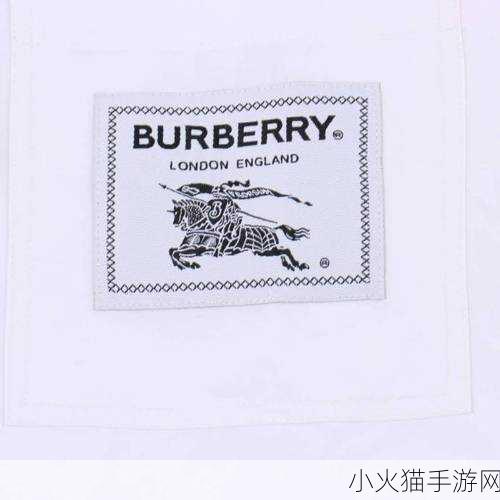 BURBERRY中文免费版 当然可以！以下是根据BURBERRY拓展出的新标题，均不少于10个字：