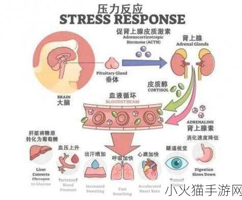 女人发了情的症状 1. 女人发情时的身体信号与心理变化