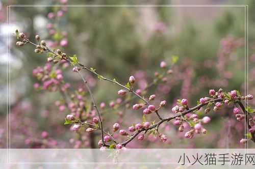 含苞欲放的桃花那是春天的嘴唇吧 1. 春天的低语：含苞桃花诉说温暖